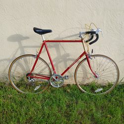 Vintage Road Bike 
