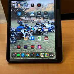 iPad Pro 12.9 inch