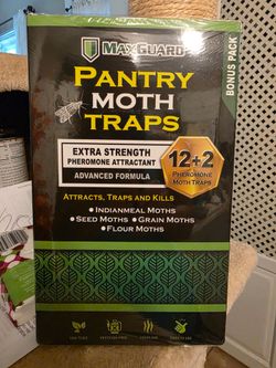 Pantry Moth Glue Traps