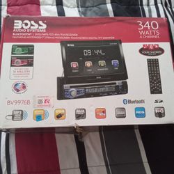 Boss Audio System 