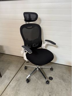 Ergonomic Office Chair