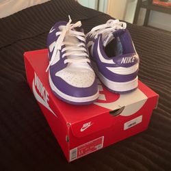 Nike Dunk Court Purples