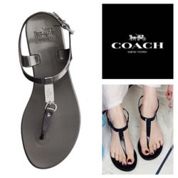 Coach Plato Shiny Opaque Jelly Black Sandals  (6)