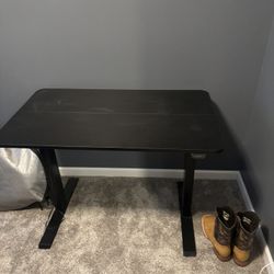 Standing Adjustable Desk