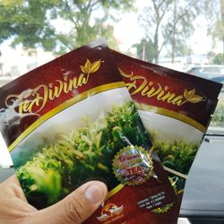 TE DIVINA 