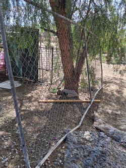 14ft gate