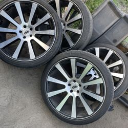 Rines 22”
