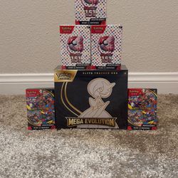 Mega Evolution / 151