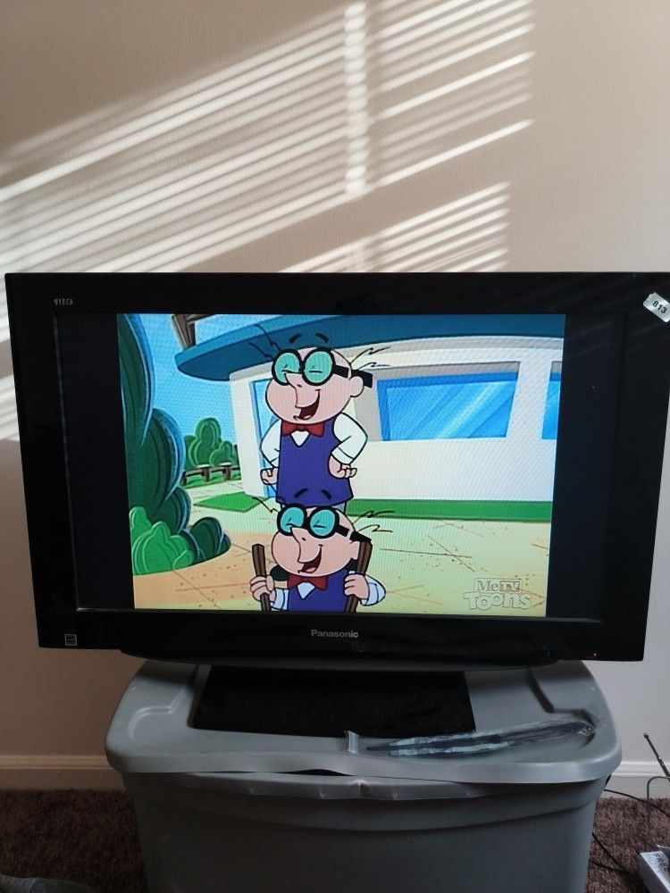Panasonic 32' Inch TV