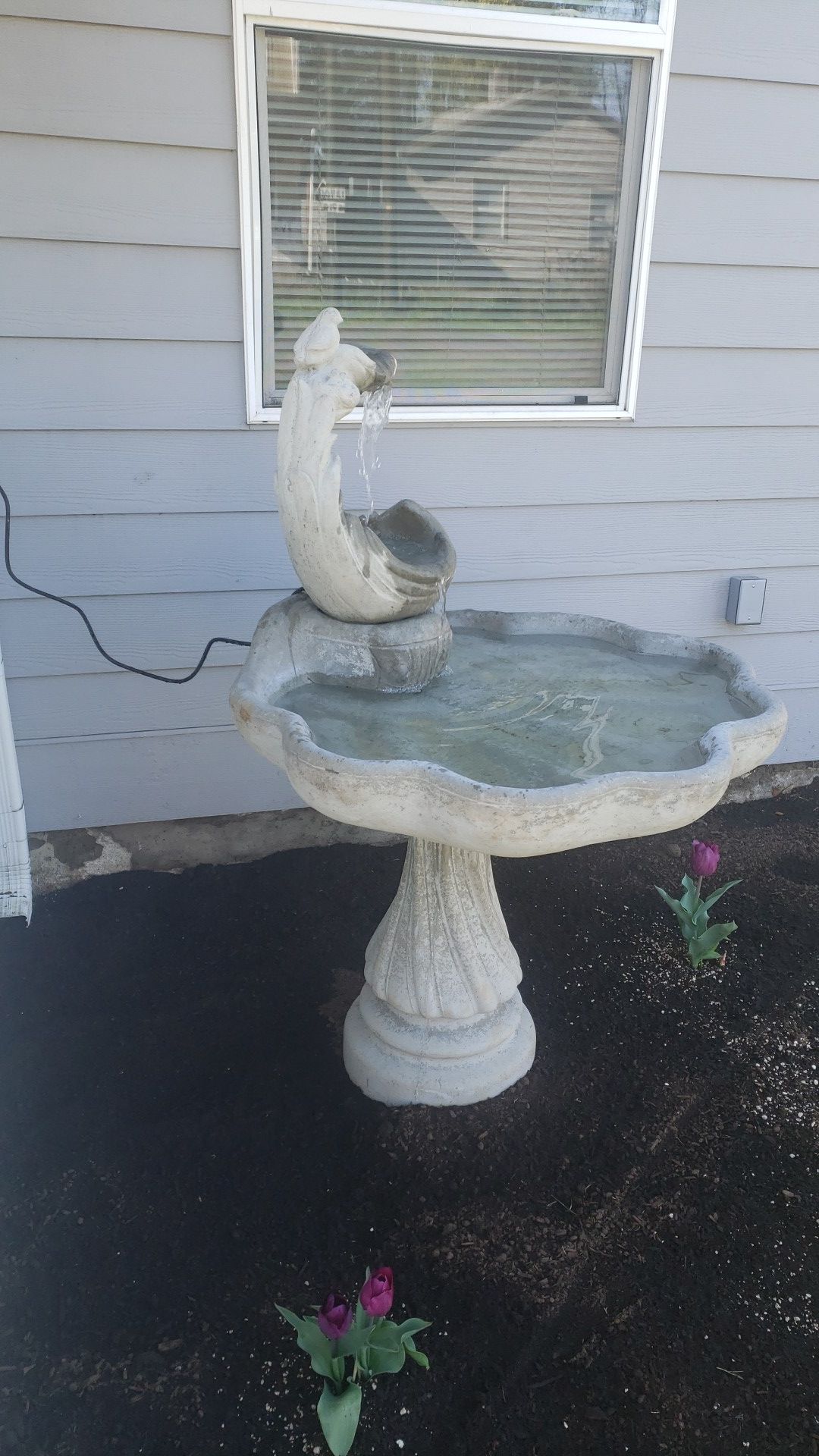 Fountain