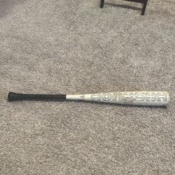 Warstic Bonesbr 29 -11 USA Baseball Bat