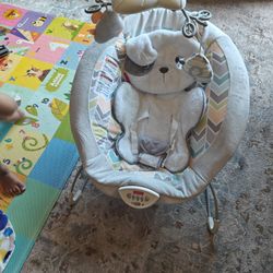 Fisher Price Baby Rocker 
