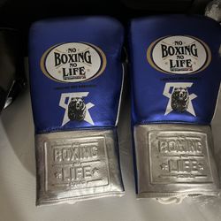 14 Or 16 Oz  boxing Gloves With Free Hand Wraps
