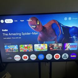 55 Inch Phillips