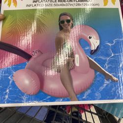Flamingo Inflatable 
