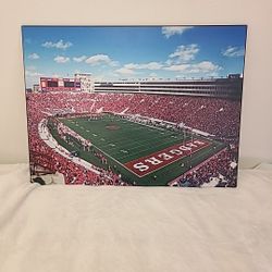 University of Wisconsin Badgers' Camp Randall Stadium Wall Art Picture 17¾"x 23⅞