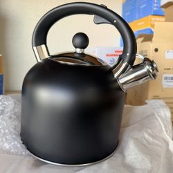 Tea Kettle - 3.17QT Whistling Kettle with Ergonomic Handle - Premium Stainless Steel Tea Pots for Stove Top, Chic Vintage Teapot with Composite Base, 