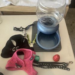 Dog items- All For $10