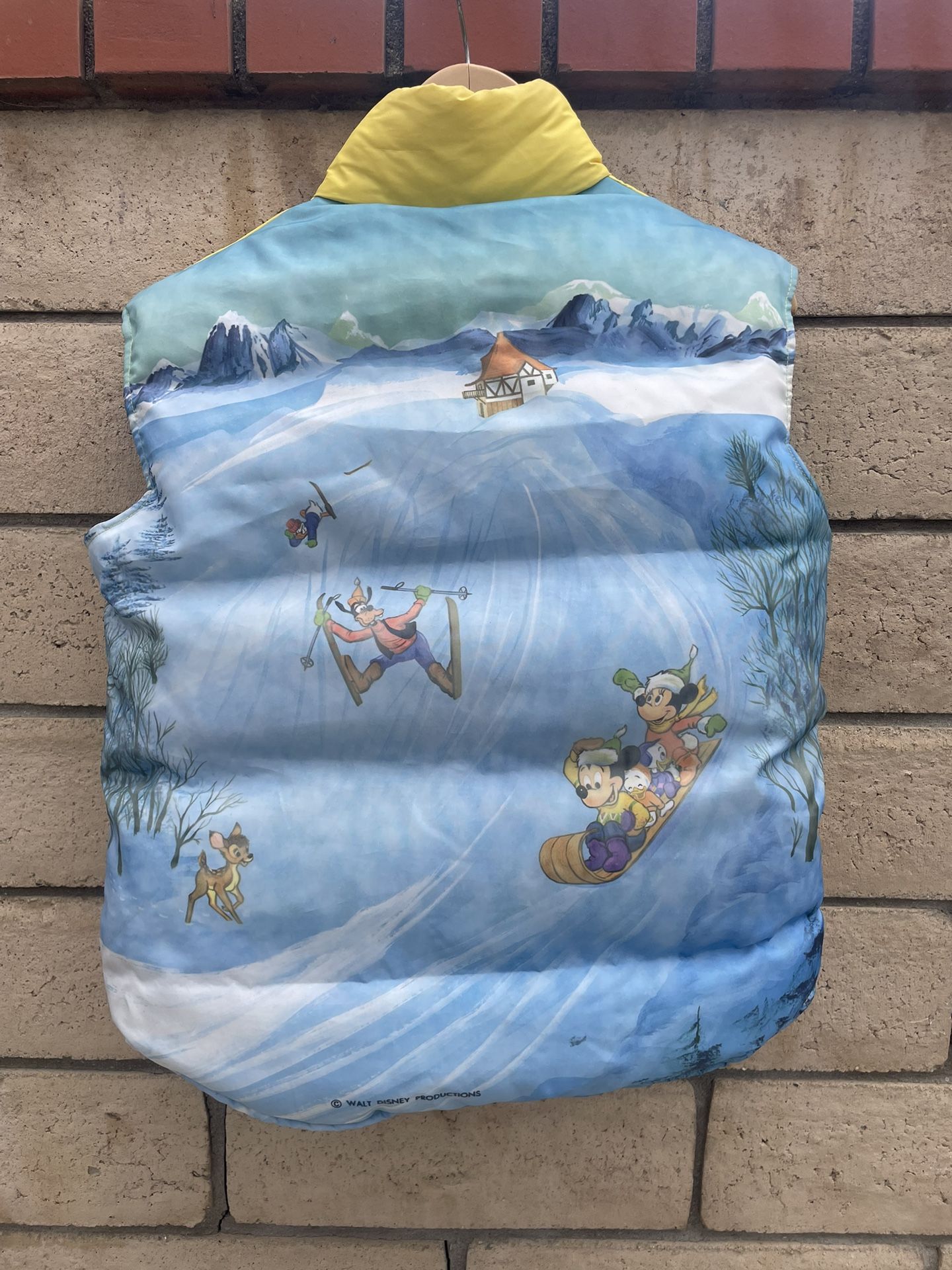 Vintage Disney / Struggle Gear Puff Vest