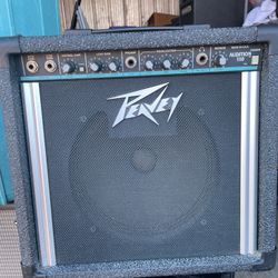 Peavey Audition 110
