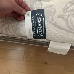 Free Queen Mattress And Box Spring 