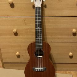 Cordoba Protege Ukulele
