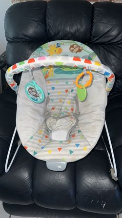 Baby Bouncer