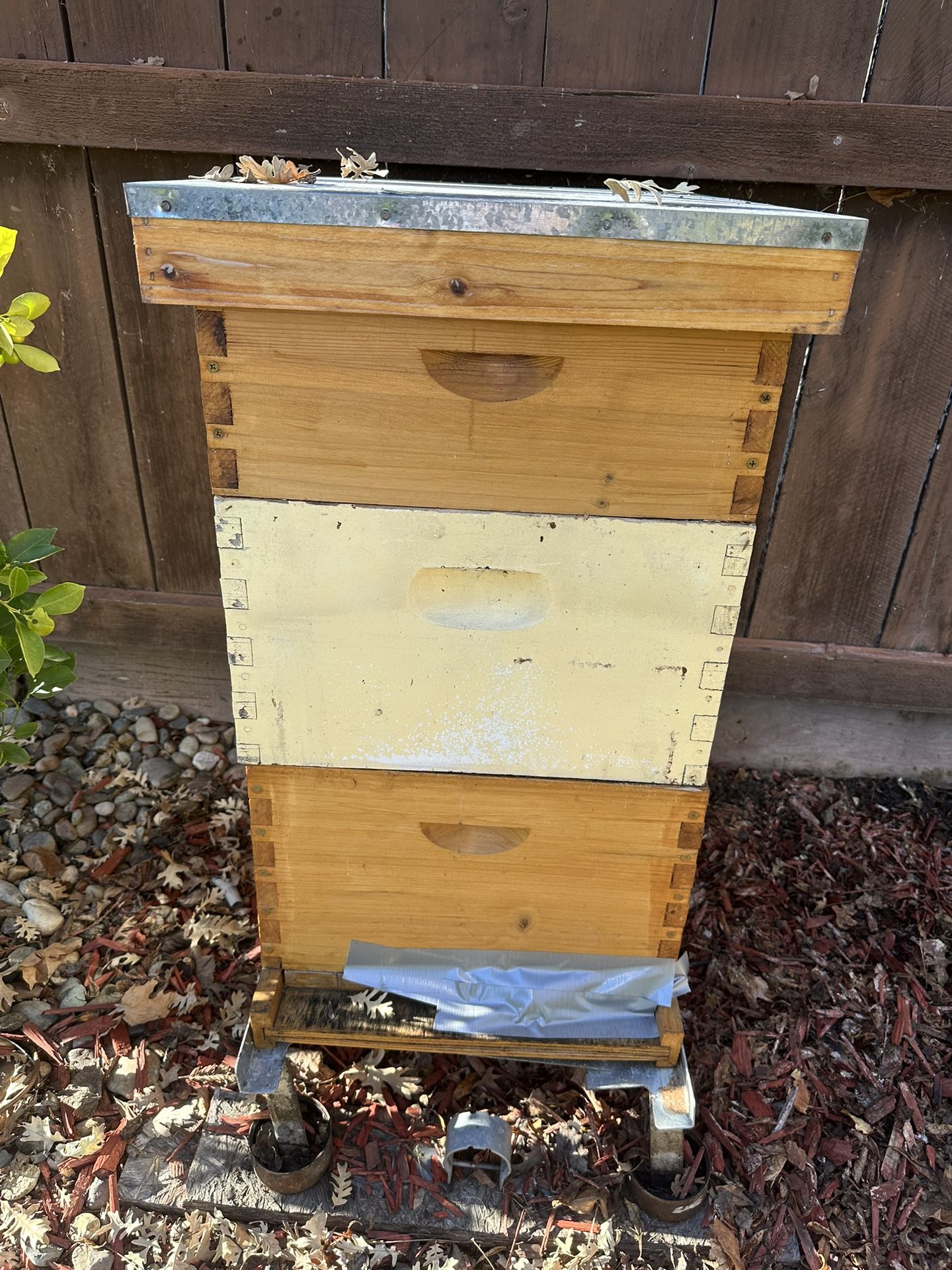 Empty Bee Hives
