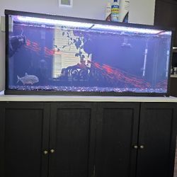 55 gallon fish tank with Stand 