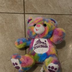 Rainbow Bear Plushy