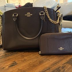 Coach Handbag And Matching Wallet