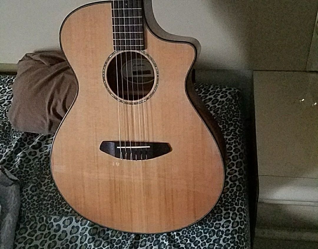 Classical Breedlove Persuit Nylon Acoustic Electric Guitar