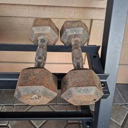 Bare Steel 20lbs Dumbbells 