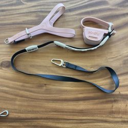 Pink Bonefly Dog Harness and Leash
