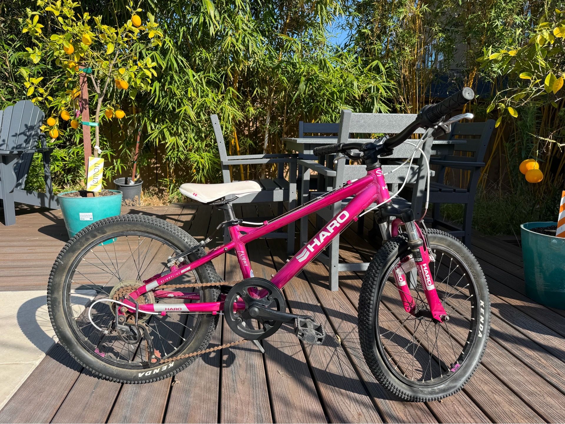 Haro Flightline 20” Mountain Bike