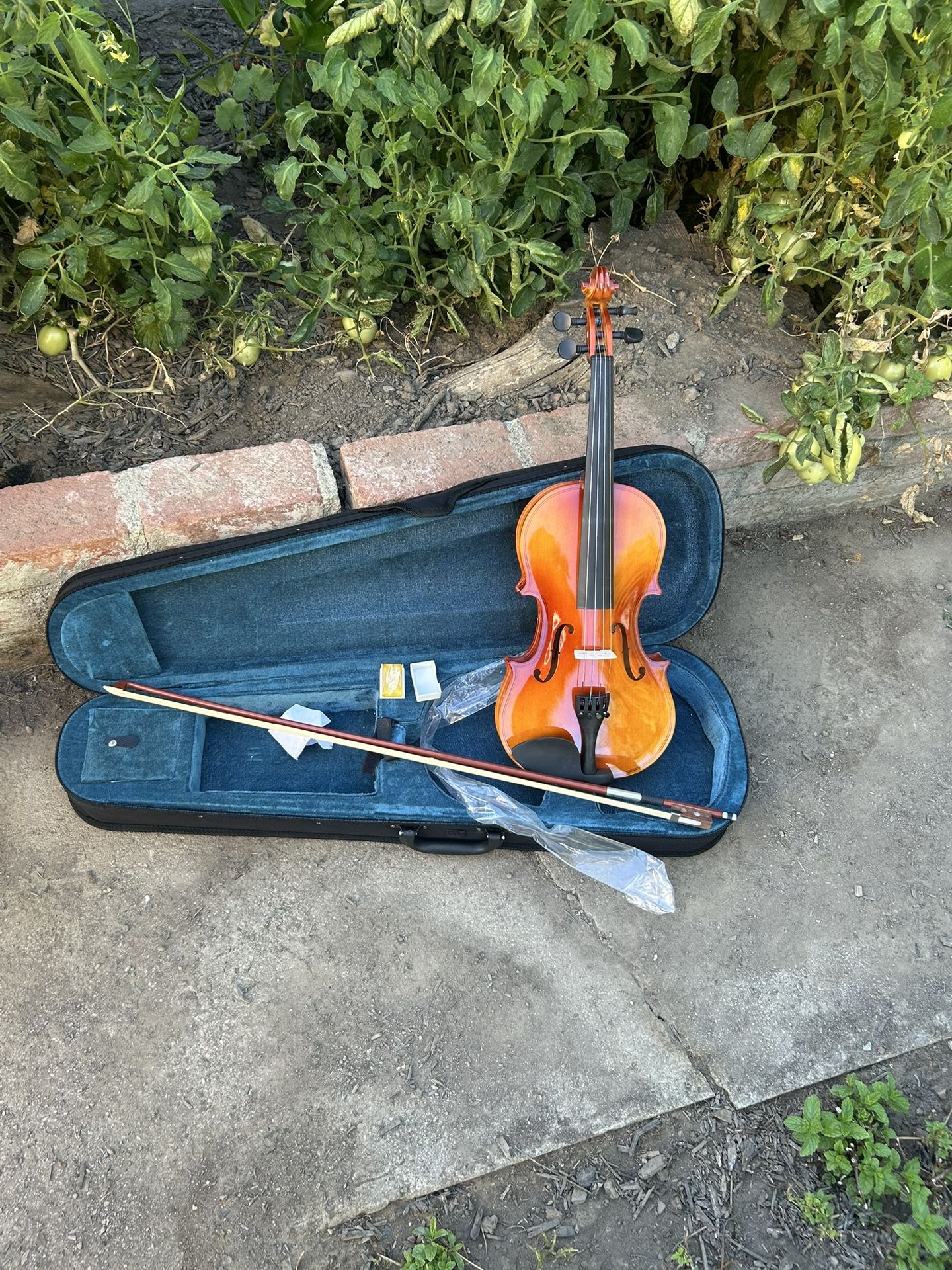 Beautiful 😻 Violin 🎻 4/4 Full Size. Wood