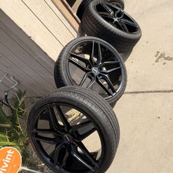 Rims 