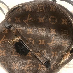 Brown Backpack Purse 