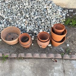 Plant Pots