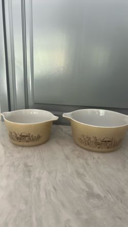 Set of 2 PYREX Forest Fancies Casseroles