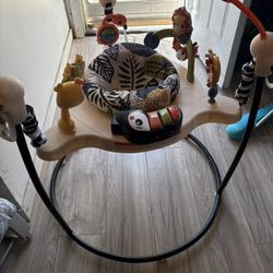 Fisher Price baby Bouncer 