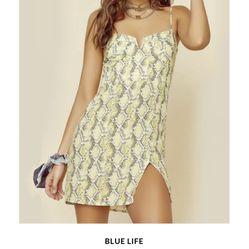 Donia Mini Dress Brand New 2023 