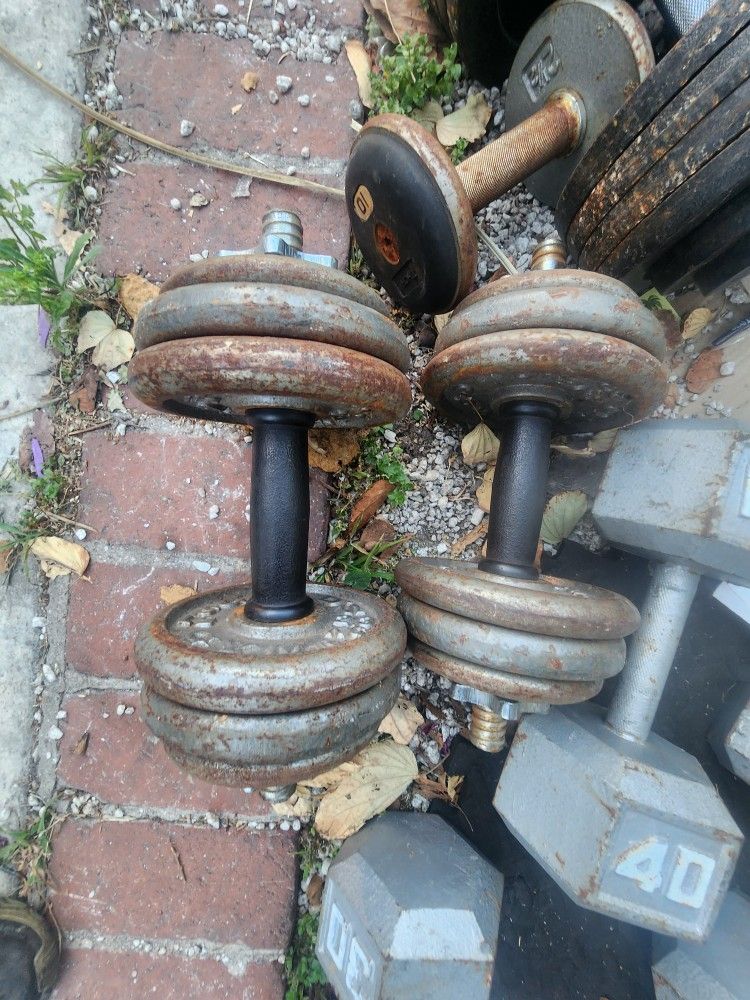 30 Pound Dumbbells 