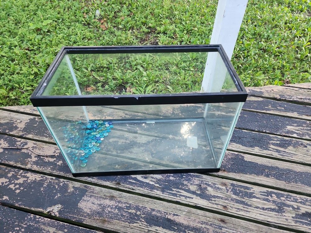 Fish Tank