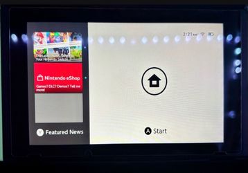 Switch Animal Crossing Edition
