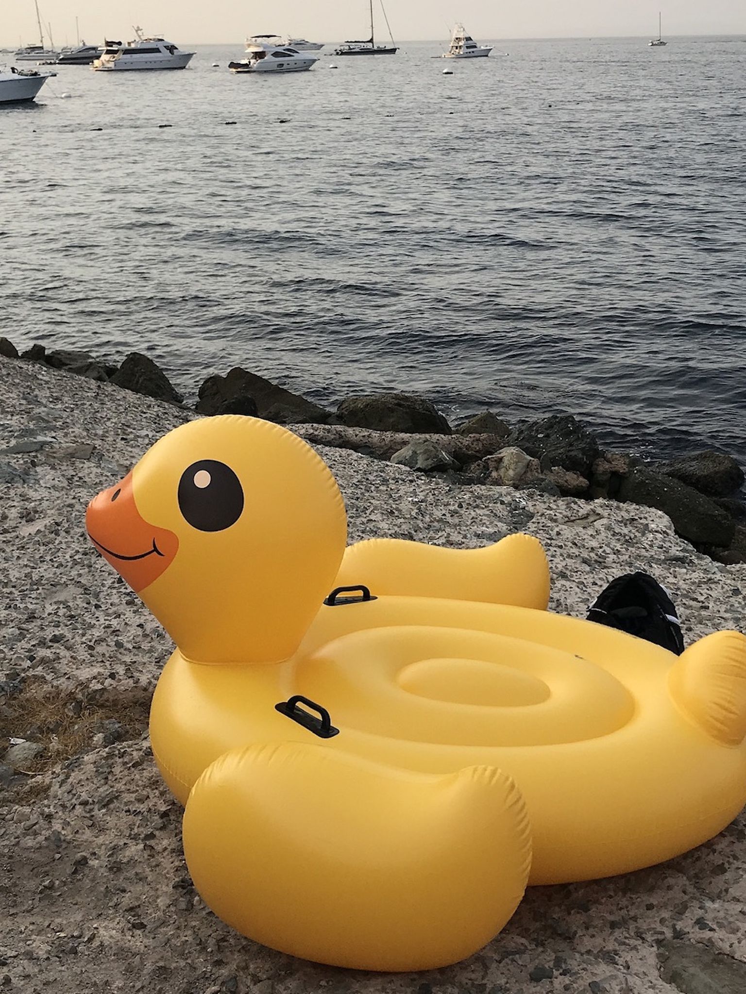 Inflatable Duck Float