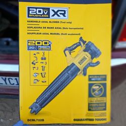 Blower Two Batteries 