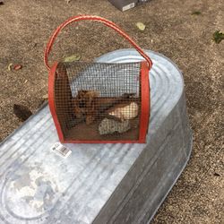 Hermit Crab Cage