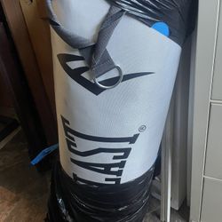 Everlast Punching bag