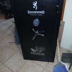 Gun Safe
